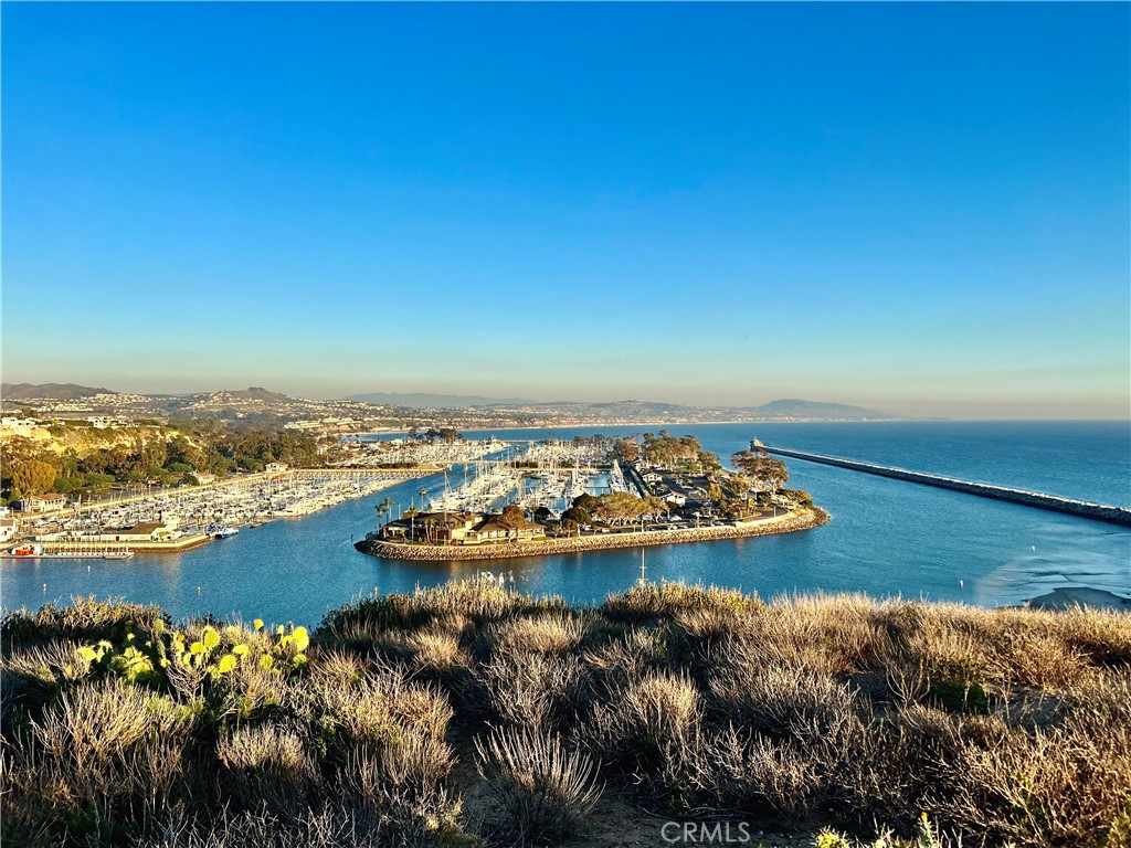 Dana Point Harbor from the bluffs