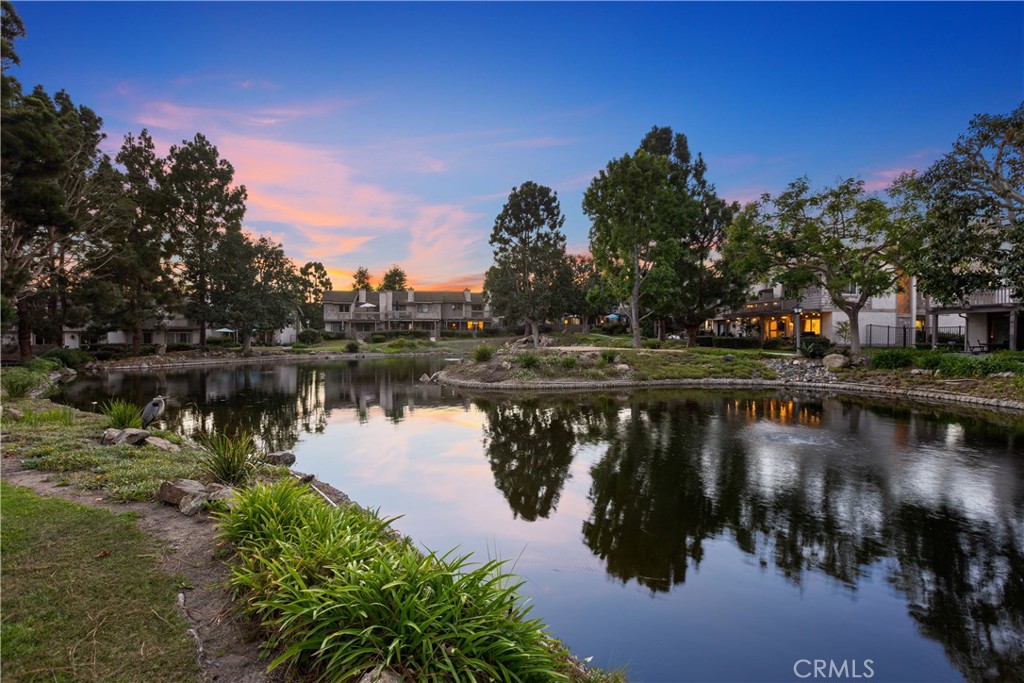 Mill Pond at twilight, Capistrano Beach